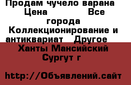Продам чучело варана. › Цена ­ 15 000 - Все города Коллекционирование и антиквариат » Другое   . Ханты-Мансийский,Сургут г.